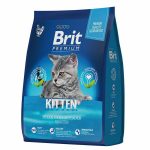 Brit